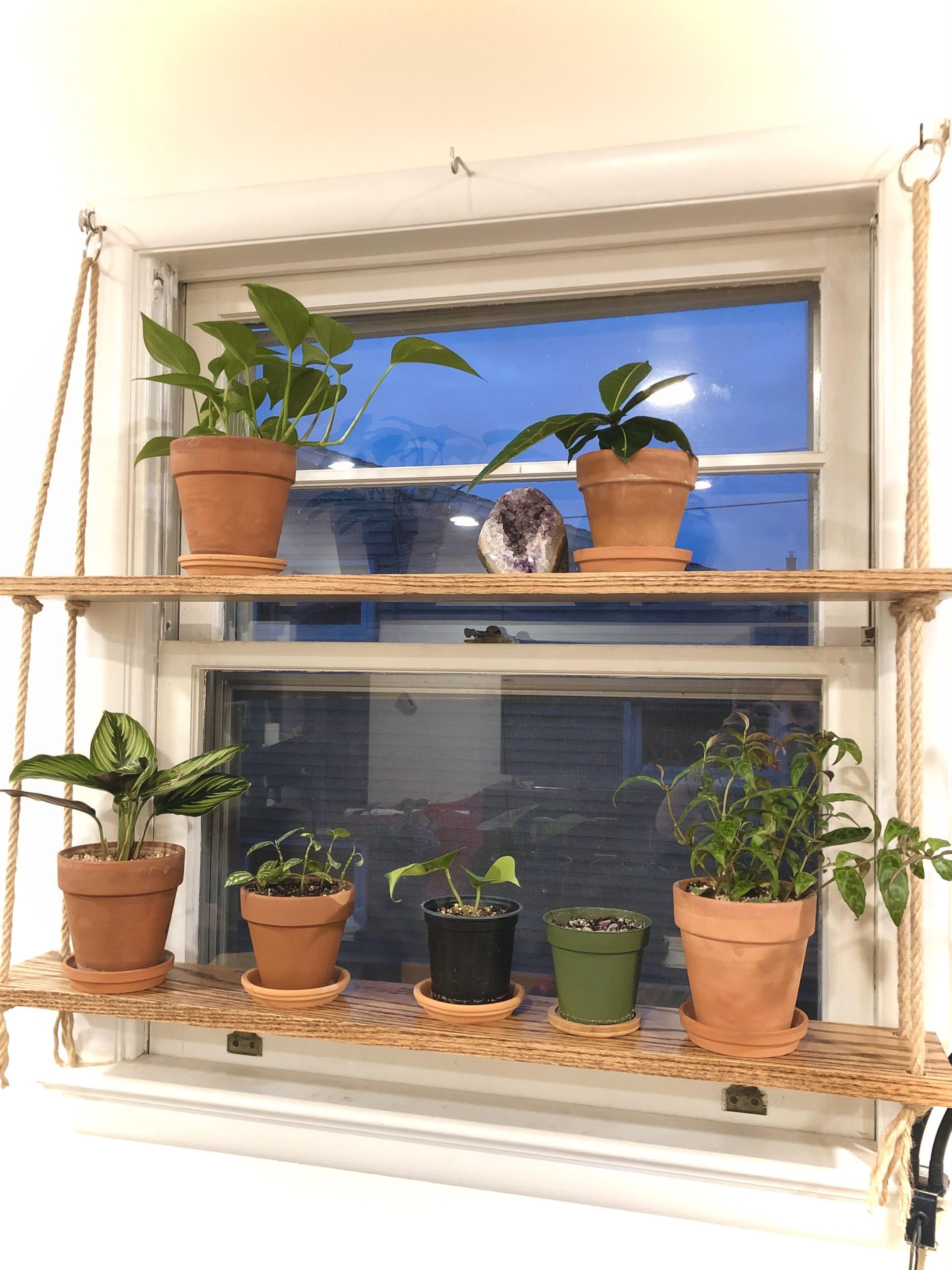 How to display plants in front of a window?