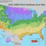 What Is The Planting Zone In Missouri?