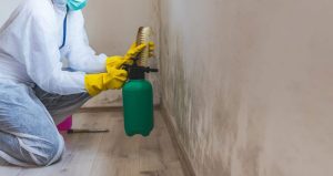 Ultimate Guide To Prevent Water Damage At Home